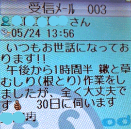 1時間半草むしりしても大丈夫でした